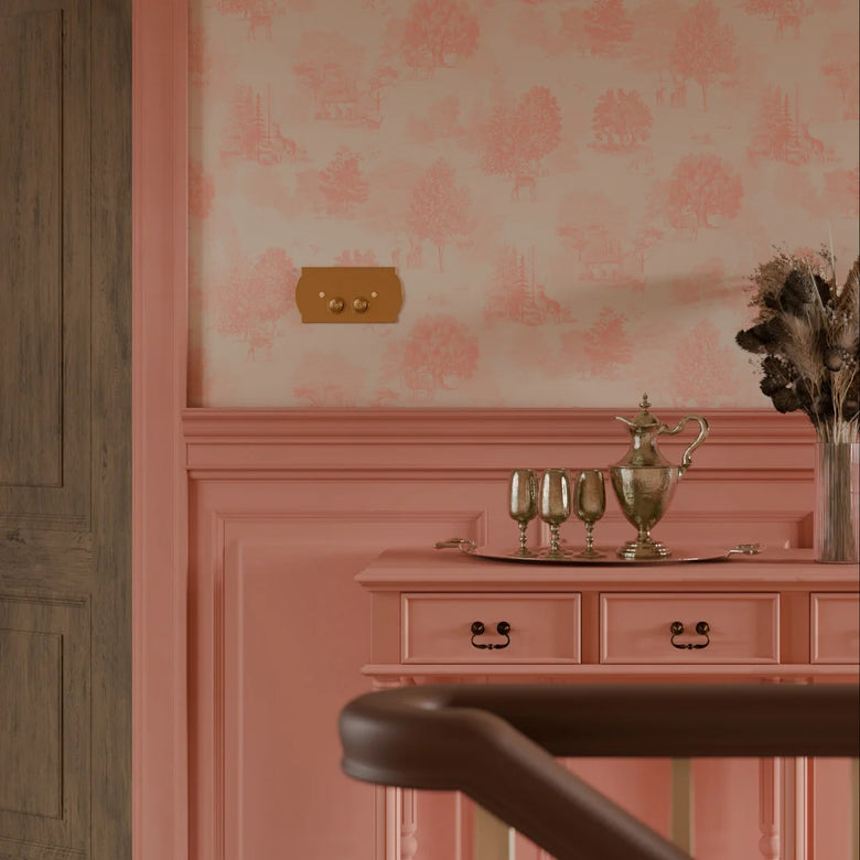 Lady Coral Eggshell Paint - 1L