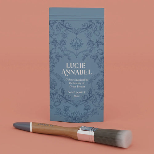 Sample of Lady Coral Paint - 60ML