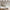 files/Lavender_Meadow_Lavender_on_Vintage_Cream_LAN100380_0003_WEB.webp