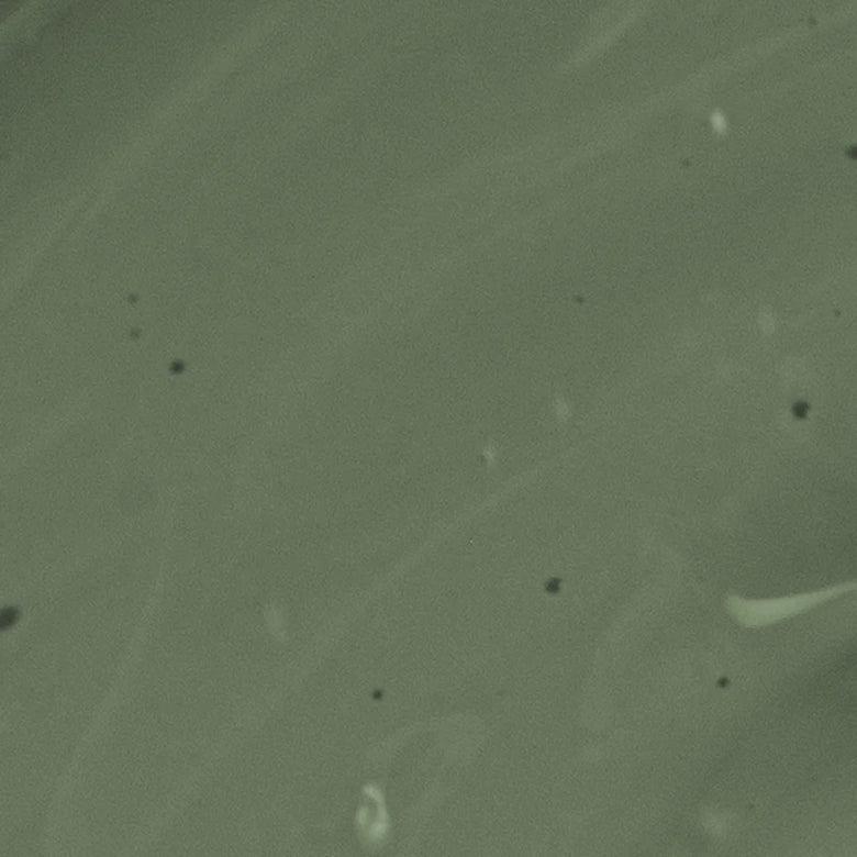 New Forest Green Eggshell Paint - 1L