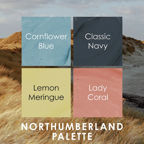 Classic Navy Eggshell Paint - 1L