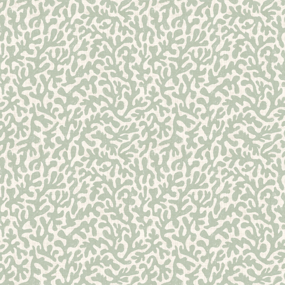 Sample of Petite Coral Cove Wallpaper in Sage and Cream
