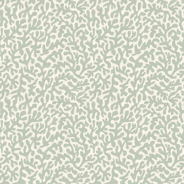 Sample of Petite Coral Cove Wallpaper in Sage and Cream