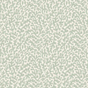 Petite Coral Cove Wallpaper in Sage and Cream