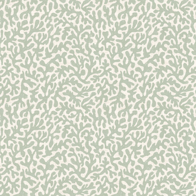 Petite Coral Cove Wallpaper in Sage and Cream
