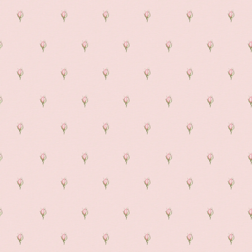 Rose Bud Wallpaper in Beautiful Blush