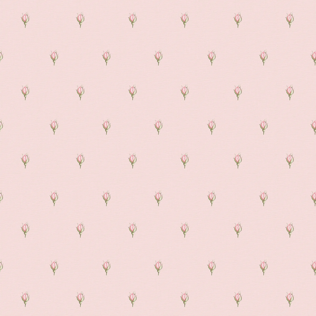 Rose Bud Wallpaper in Beautiful Blush