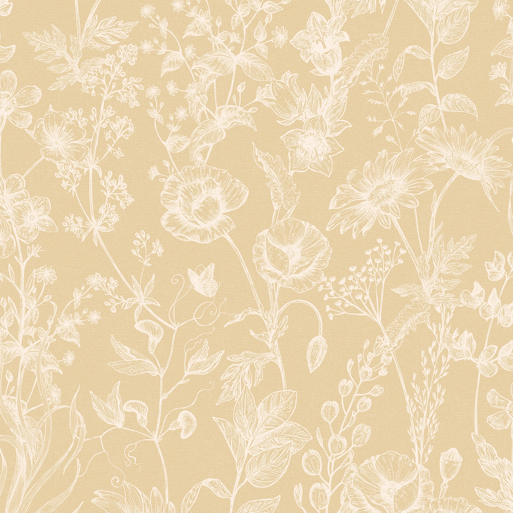 Sketched Meadow Wallpaper in Cream on Champagne