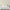 files/SongofTheLovebirds_Cream_LAN100392_Roomset1_WEB.webp