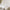 files/SongofTheLovebirds_SoftPink_LAN100390_Roomset2_WEB.webp