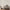 files/SongofTheLovebirds_WarmGrey_LAN100393_Roomset1_WEB.webp