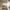 files/Strawberry_Harvest_Summer_Greens_and_Berry_Red_LAN100382_0003_WEB.webp