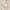 Sample of Summer in Peony Park Wallpaper in Blush Pink