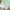files/SummerinPeonyPark_DuckEgg_LAN100385_Roomset_WEB.webp
