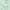 Sample of Summer in Peony Park Wallpaper in Duck Egg