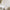 files/SunriseSerenade_BlushandTeal_LAN100396_Roomset1_WEB.webp