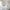 files/SunriseSerenade_TanandSage_LAN100395_Roomset2_WEB.webp