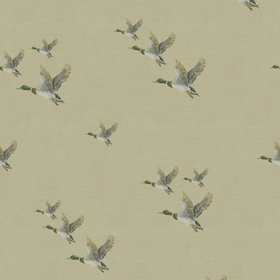 Sample of The Mallards Wallpaper in Sand