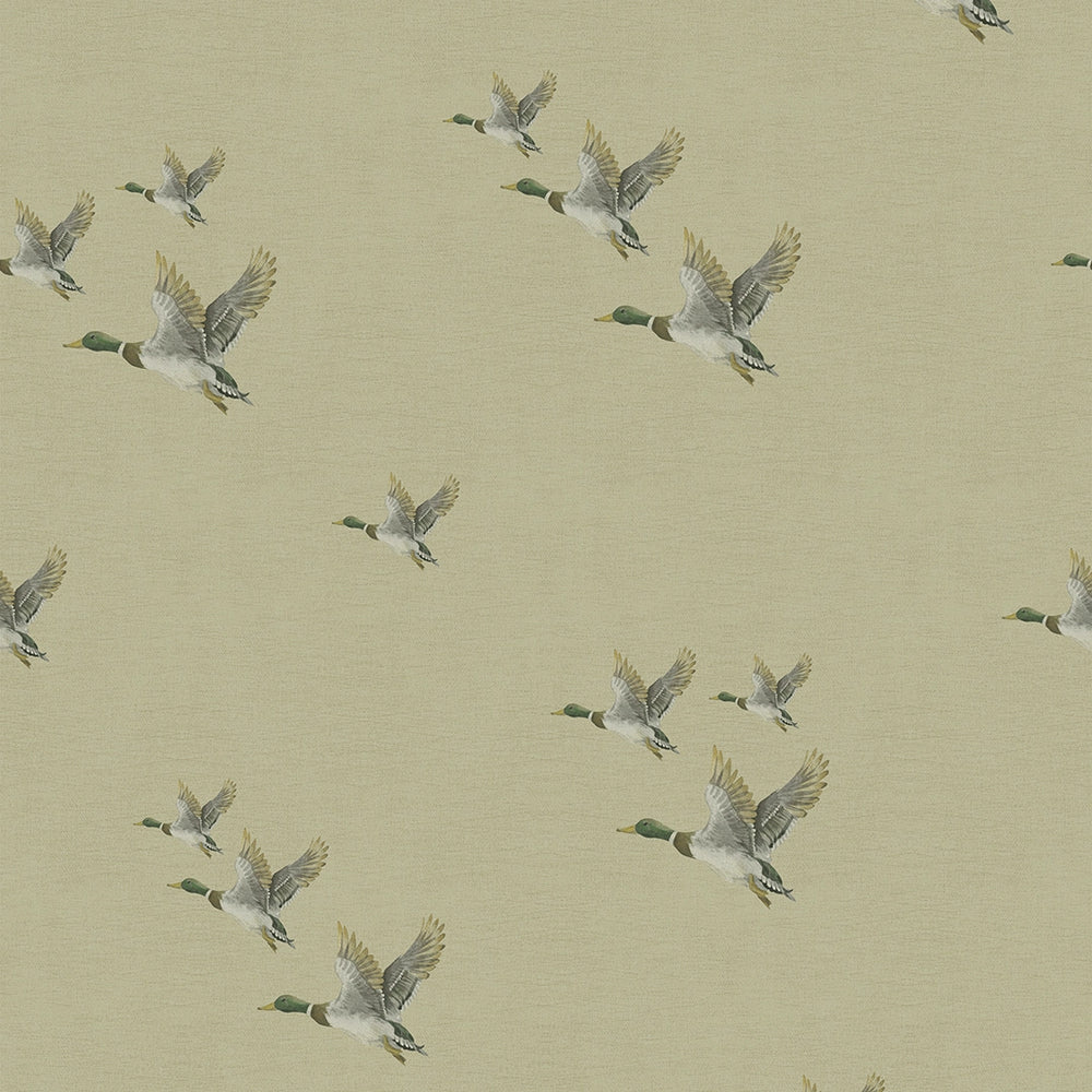 Sample of The Mallards Wallpaper in Sand
