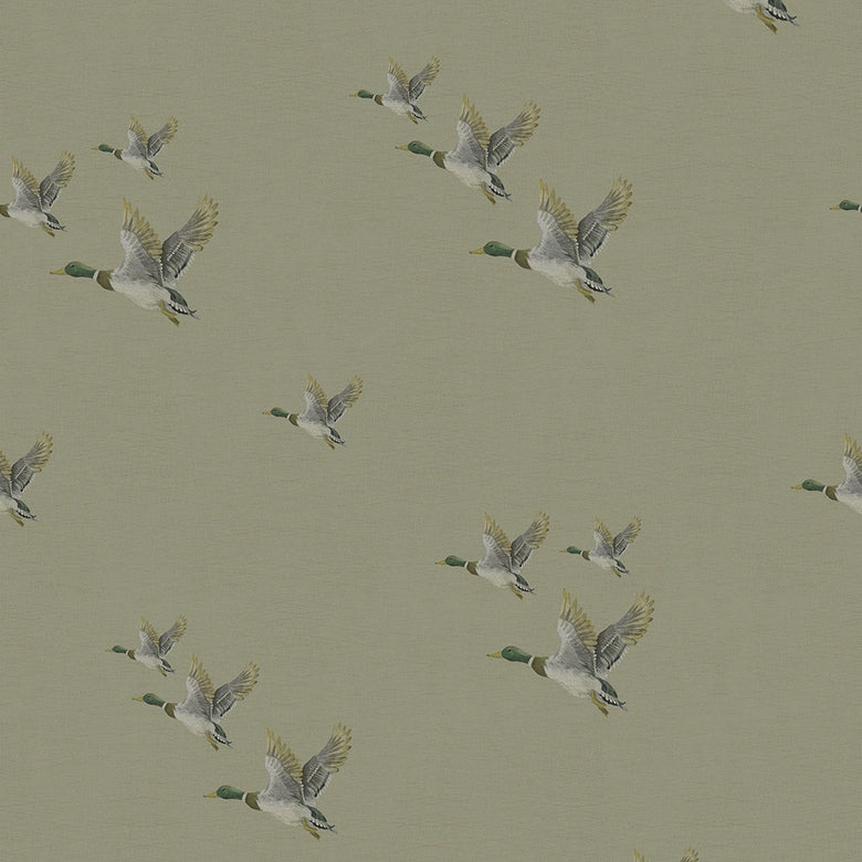 Sample of The Mallards Wallpaper in Warm Grey