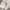 files/ThePeacock_sPromise_VintageCream_LAN100399_Roomset2_WEB.webp