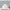 files/ThePeacock_sPromise_WedgewoodBlue_LAN100400_Roomset1_WEB.webp