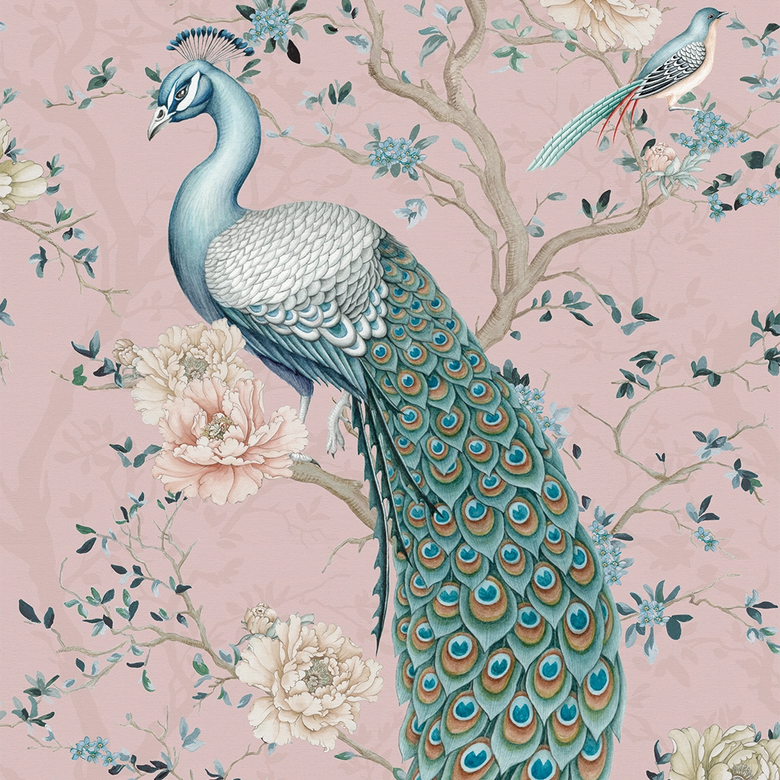 The Peacock's Promise Wallpaper in Rose