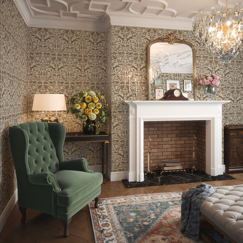 The Secret Squirrel Wallpaper in Cocoa