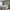 files/Violet_MineralMist_LAN100408_CottageBedroomwithBeamedCeilingRoomset_WEB.webp
