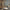 files/WeeThistleWallpaperinCornflowerBlueonMineralMist_LAN100354__FT_ThistleRoyaleWallpaperinMineralMist__Roomset_Detail_WEB.webp
