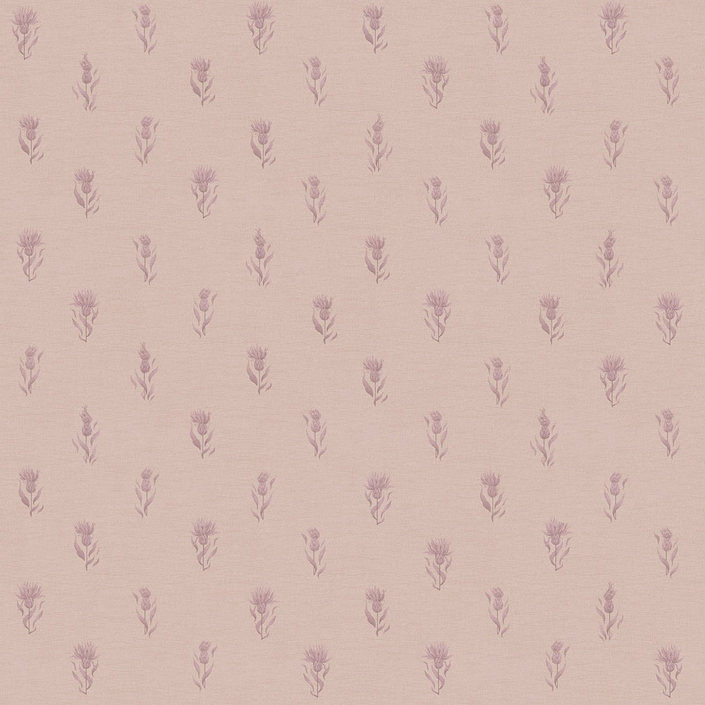 Sample of Wee Thistle Wallpaper in French Mauve on Vintage Rose