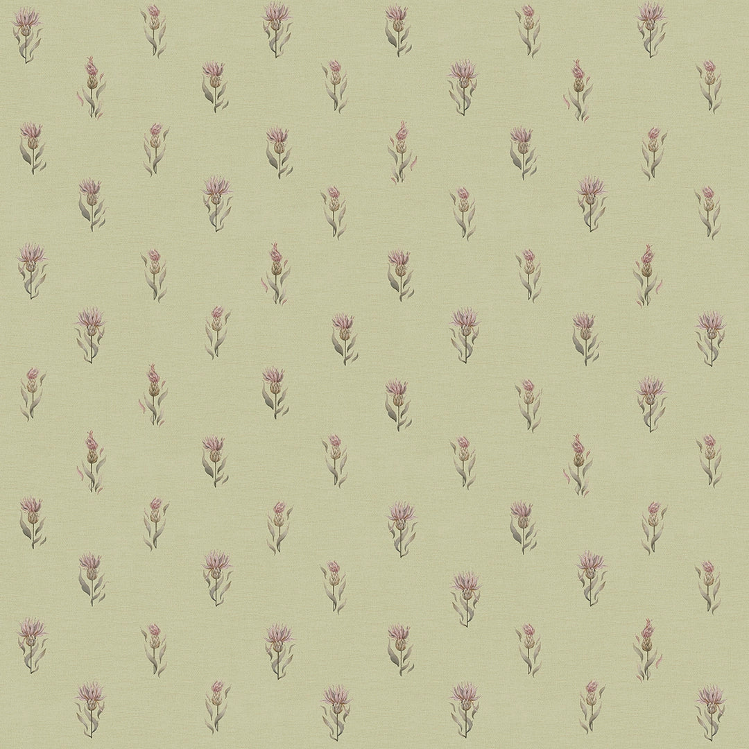 Wee Thistle Wallpaper in Slow Cooked Sage