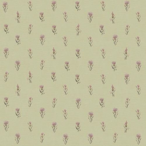 Sample of Wee Thistle Wallpaper in Slow Cooked Sage
