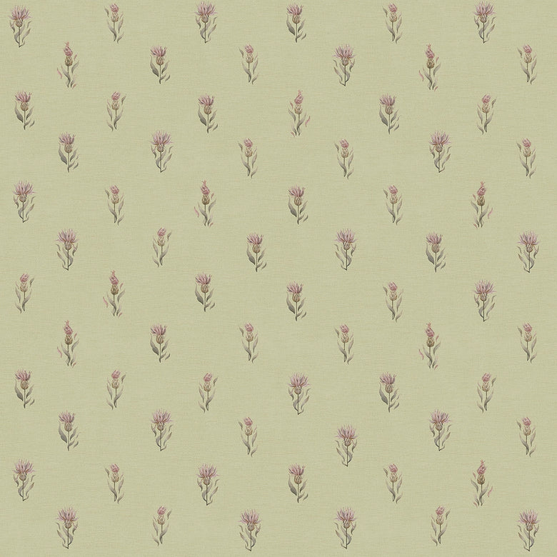 Sample of Wee Thistle Wallpaper in Slow Cooked Sage