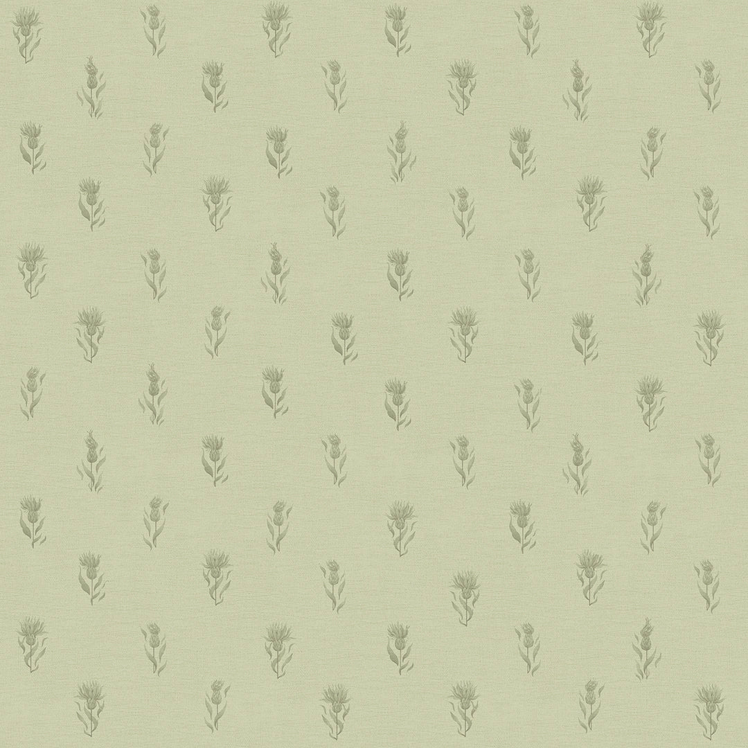 Sample of Wee Thistle Wallpaper in Slow Cooked Sage and New Forest Green