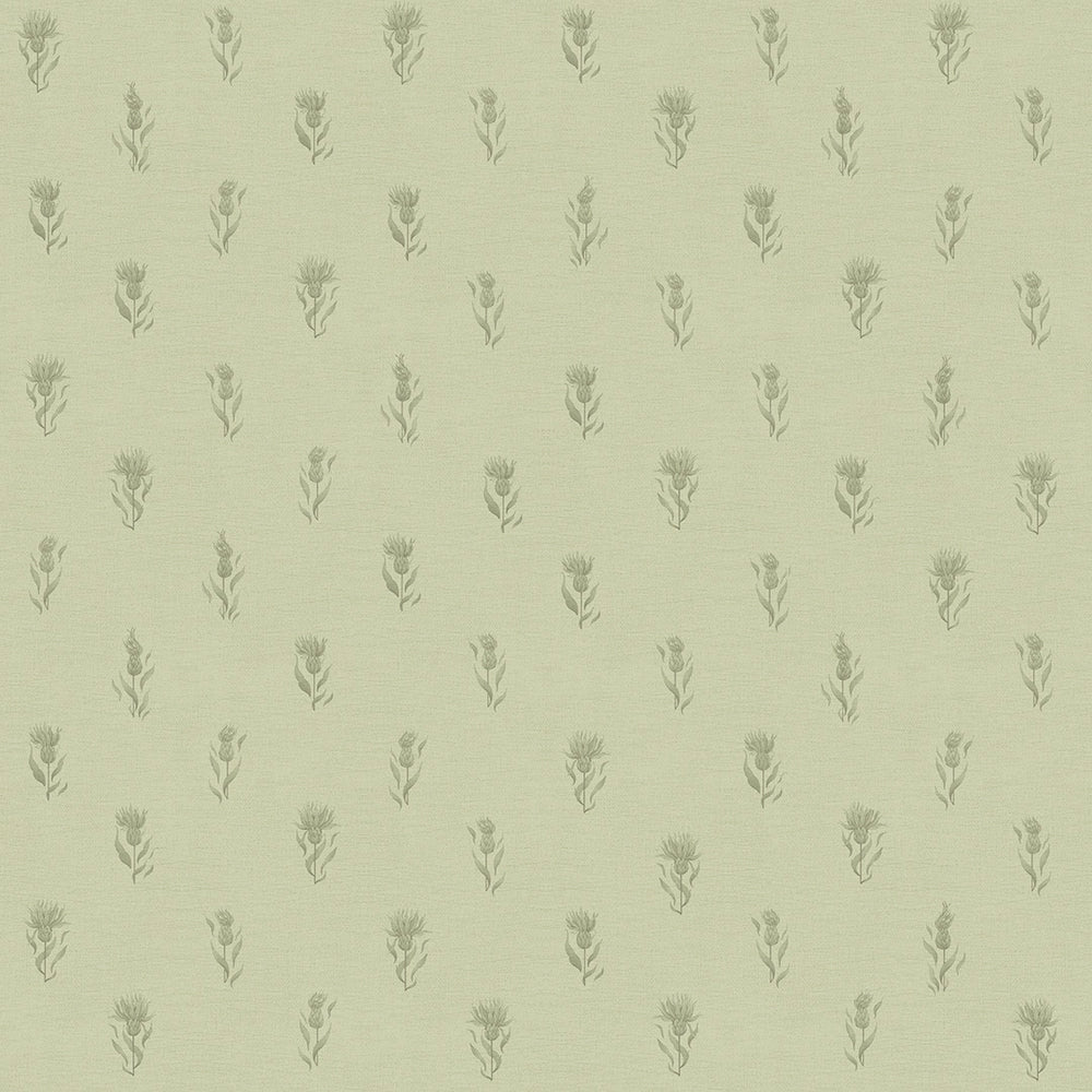 Wee Thistle Wallpaper in Slow Cooked Sage and New Forest Green