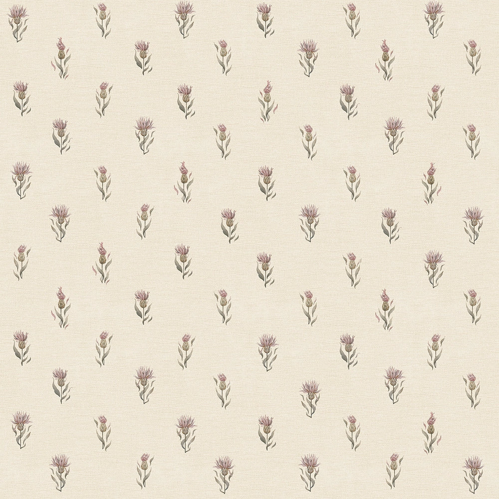 Sample of Wee Thistle Wallpaper in Vintage Cream