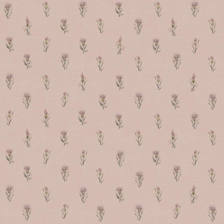 Sample of Wee Thistle Wallpaper in Vintage Rose