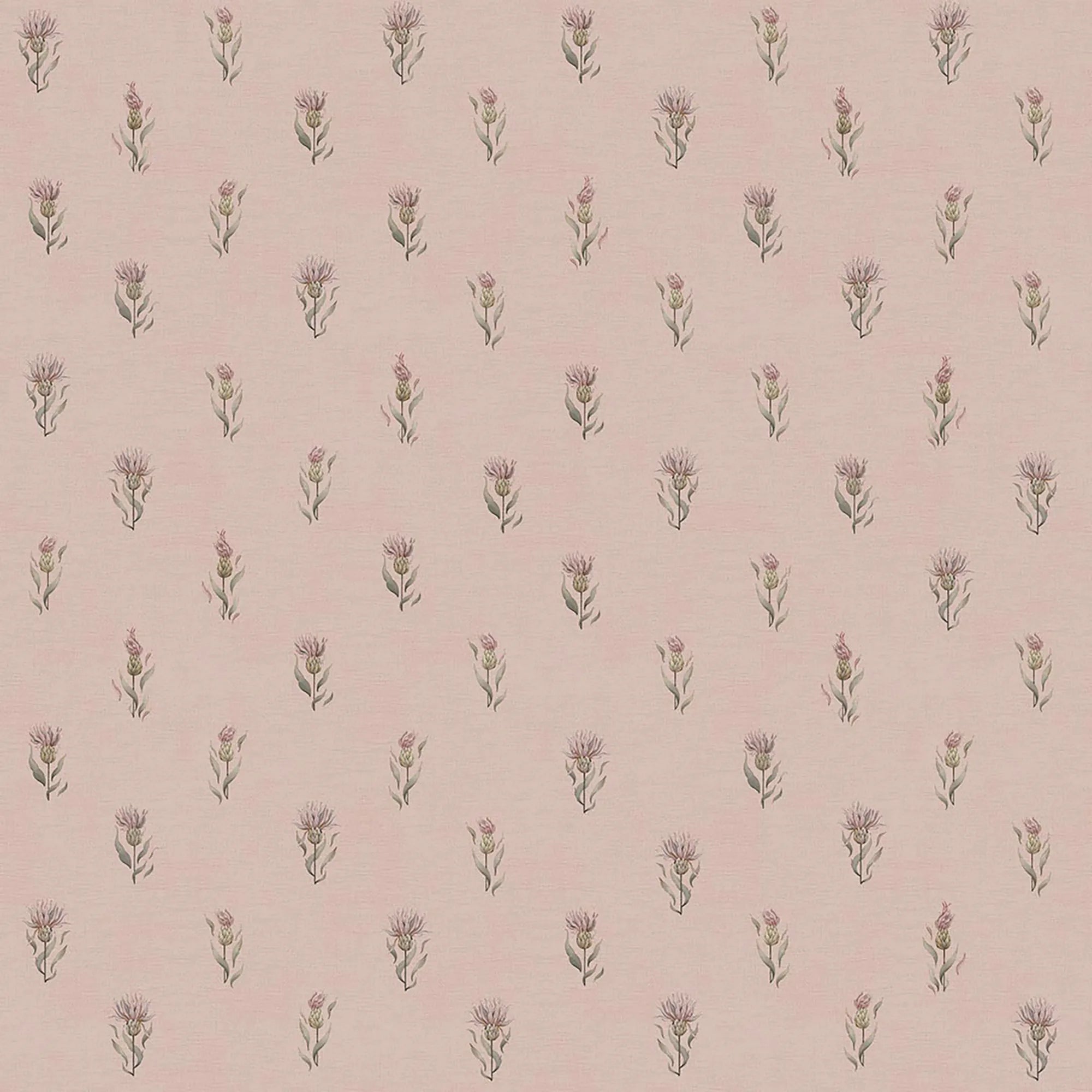 Wee Thistle Wallpaper in Vintage Rose