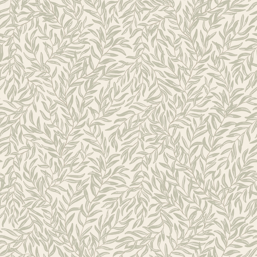 Whimsical Willow Wallpaper in Sage on Cream