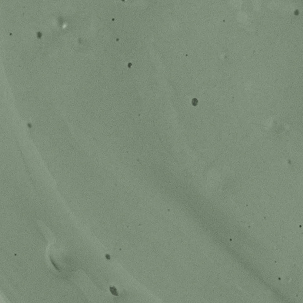 Wild Nettle Green Eggshell Paint - 1L