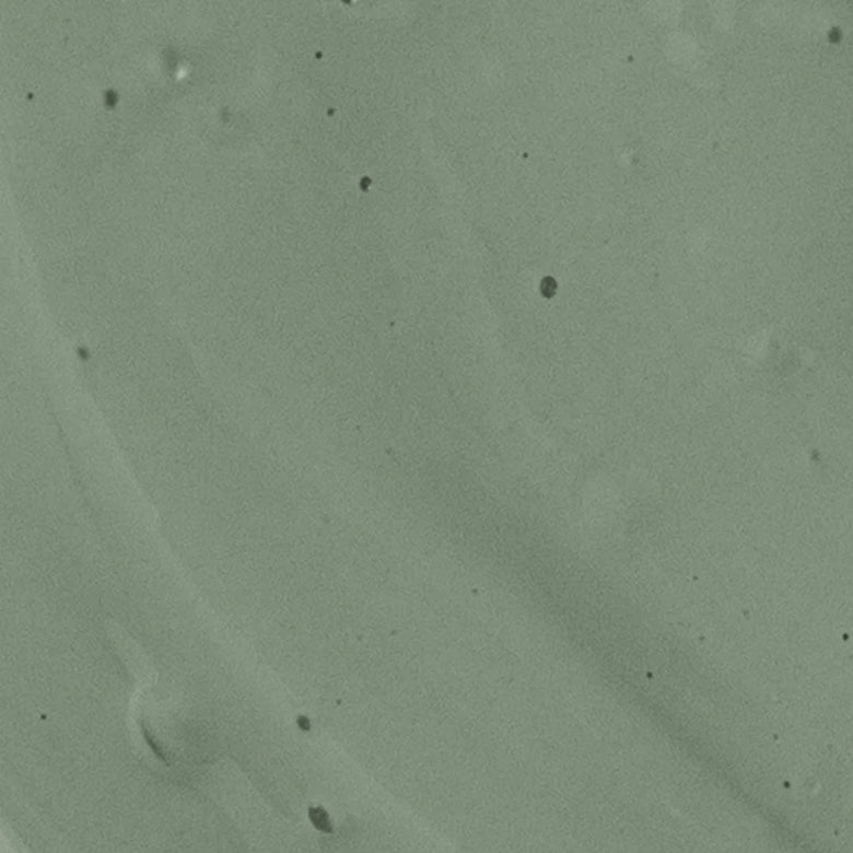 Wild Nettle Green Eggshell Paint - 1L