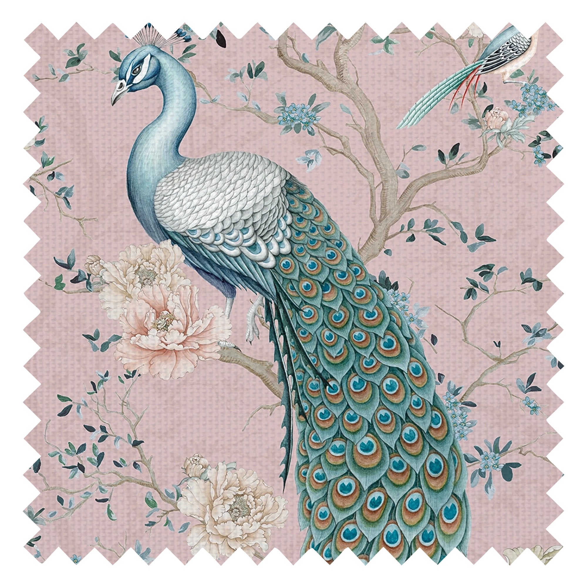The Peacock's Promise Fabric in Rose