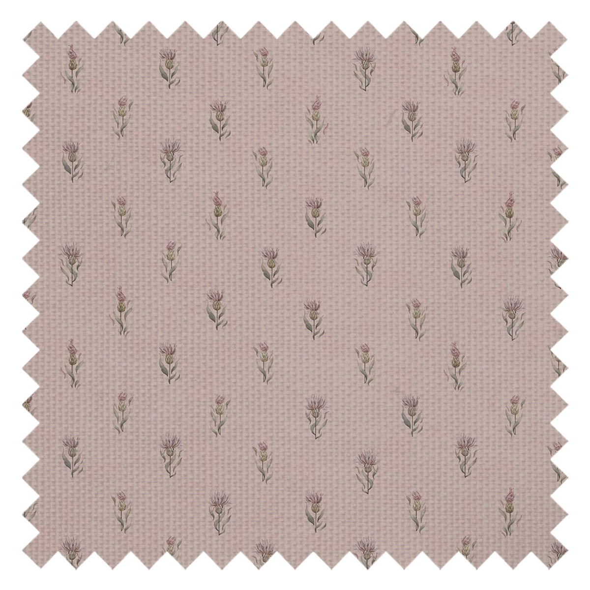 Wee Thistle Fabric in Vintage Rose