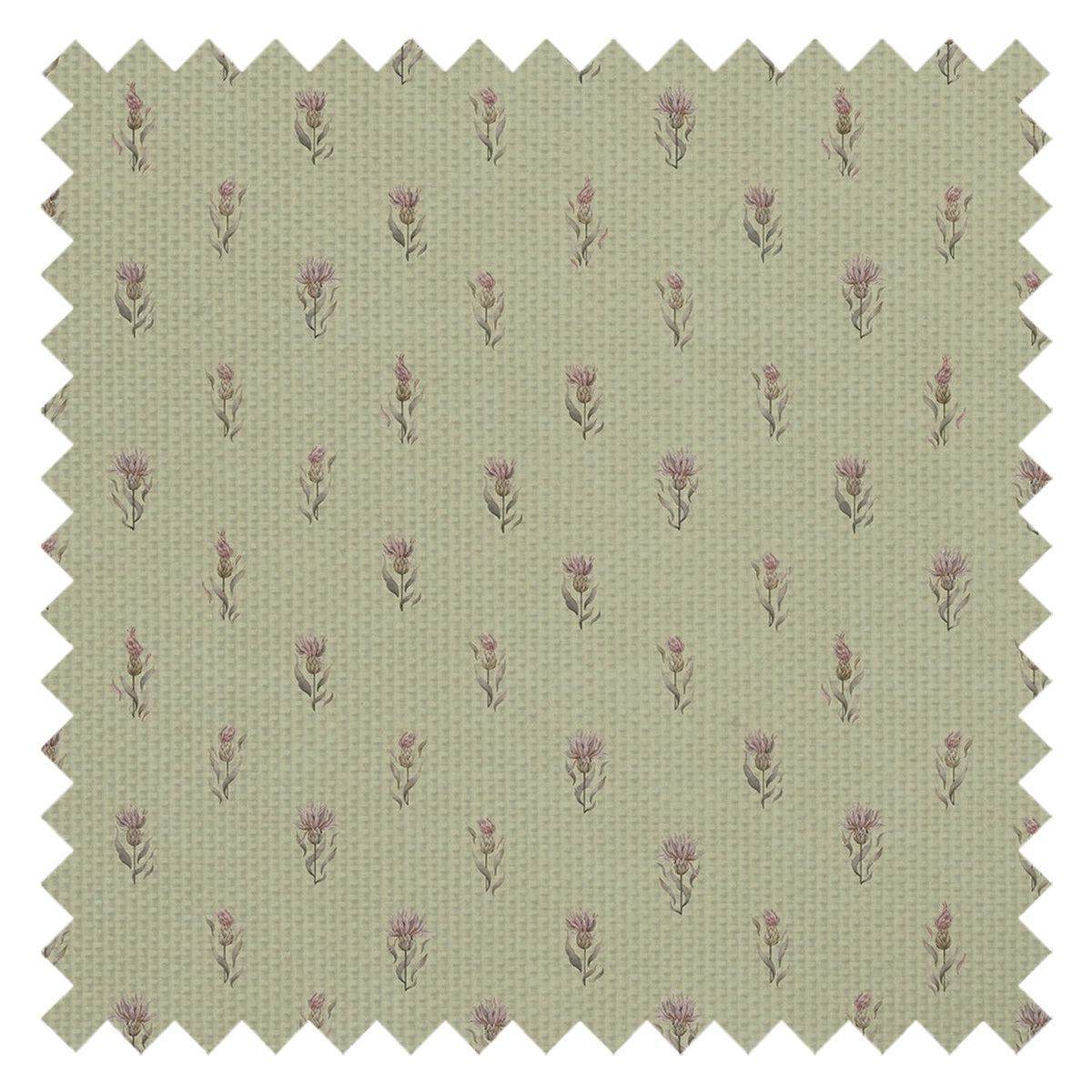 Wee Thistle Fabric in Slow Cooked Sage