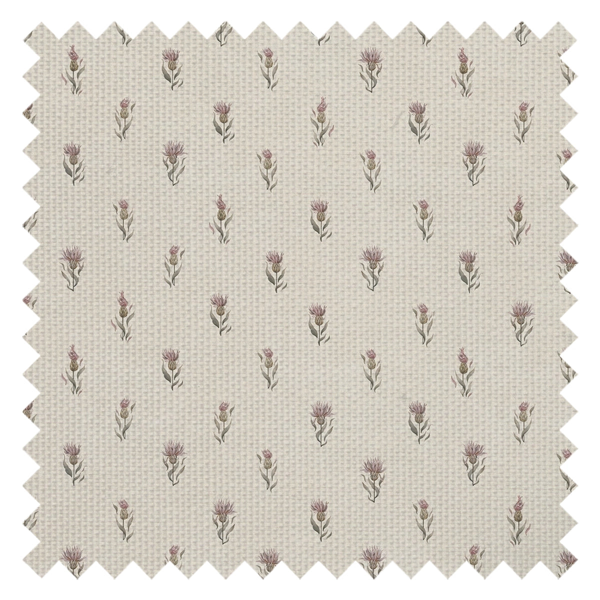 Wee Thistle Fabric in Vintage Cream