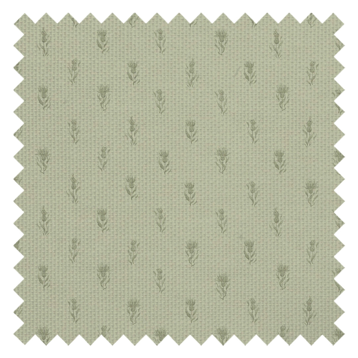 Wee Thistle Fabric in Slow Cooked Sage and New Forest Green