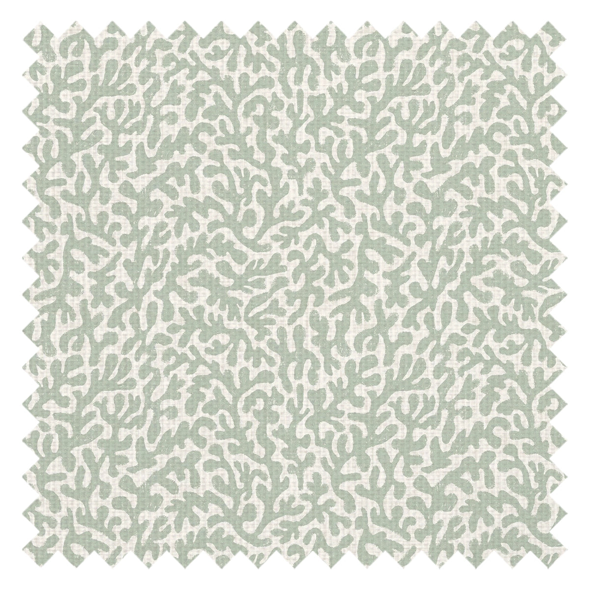 Petite Coral Cove Fabric in Sage and Cream